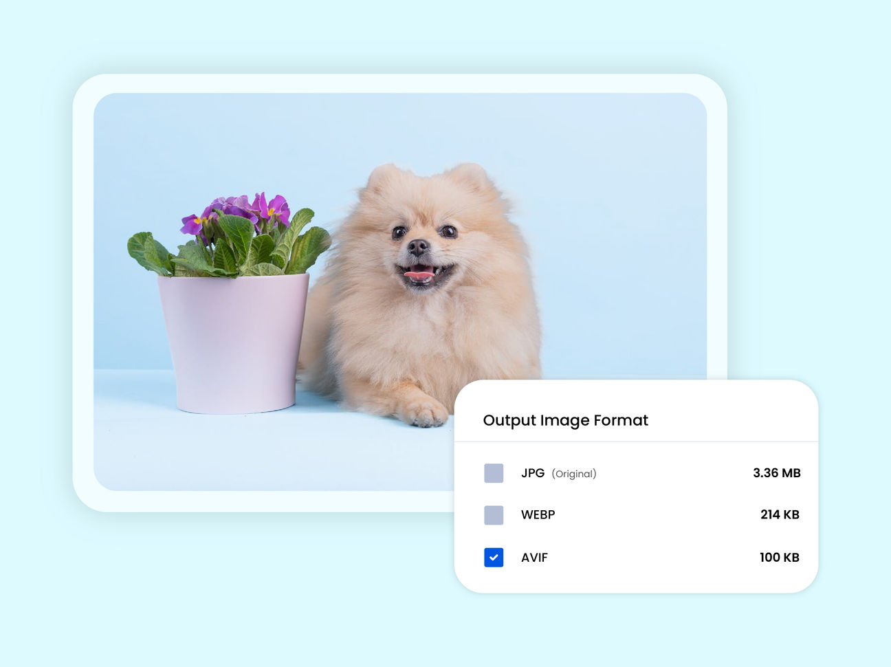 Image processing API for a perfect image delivery | ImageKit.io ...