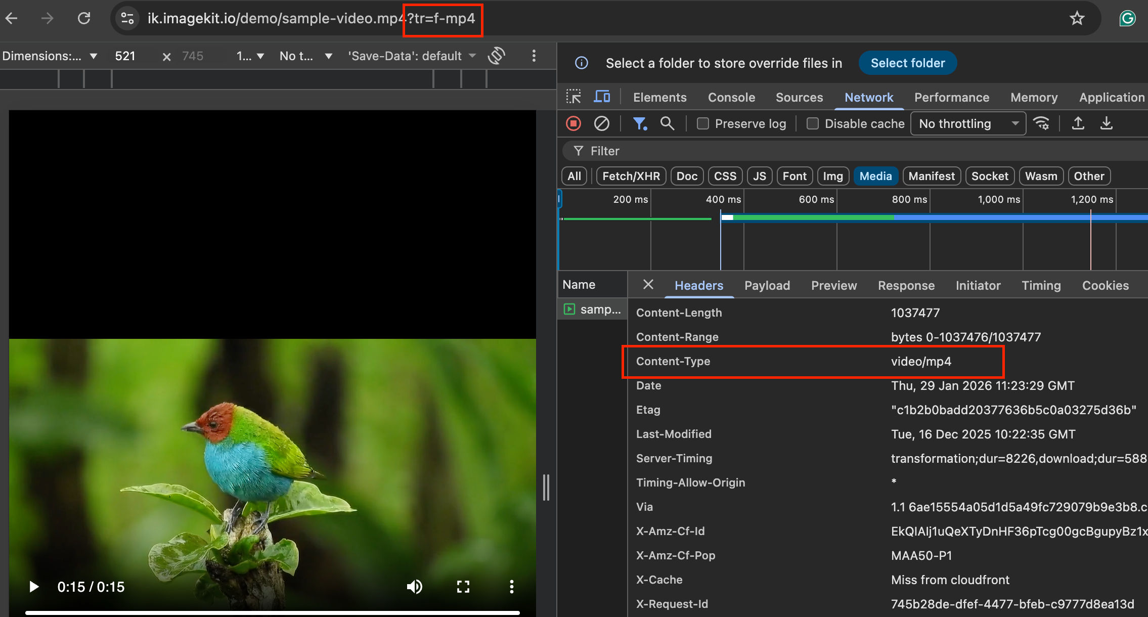 Automatic video format conversion