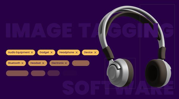 How an Image Tagging Software can Transform Your Image Search